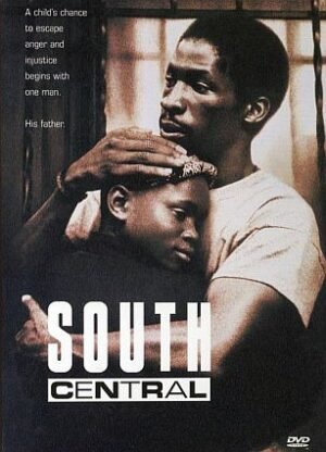 south central widescreen edition